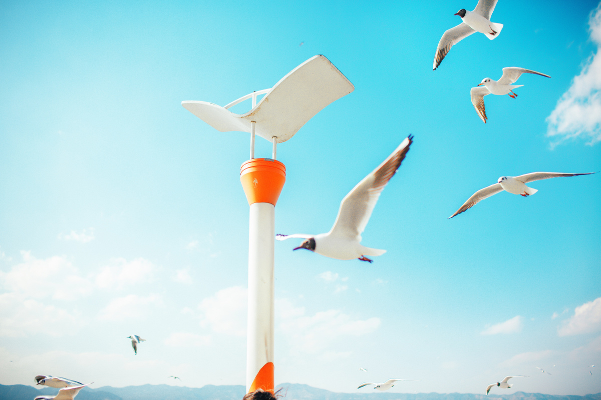 拿青春乱了你的流年 - 人像, 小清新, 糖水 - 阿牧