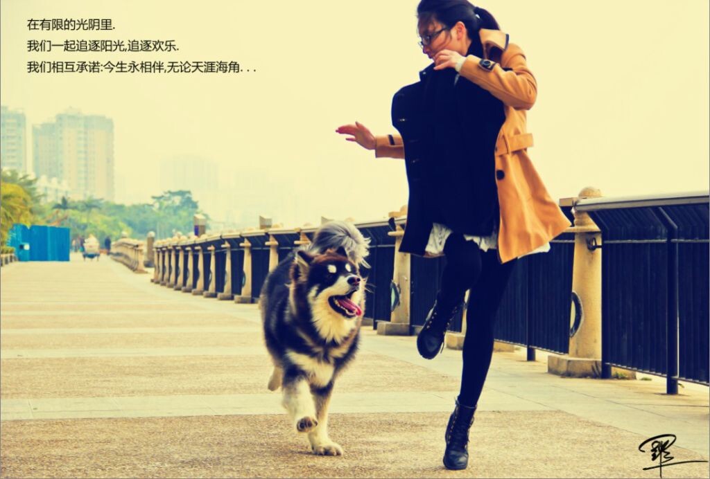 今生共相伴 踏步拾零 图虫摄影网