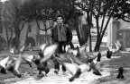 6.停下来又是那么的安静
