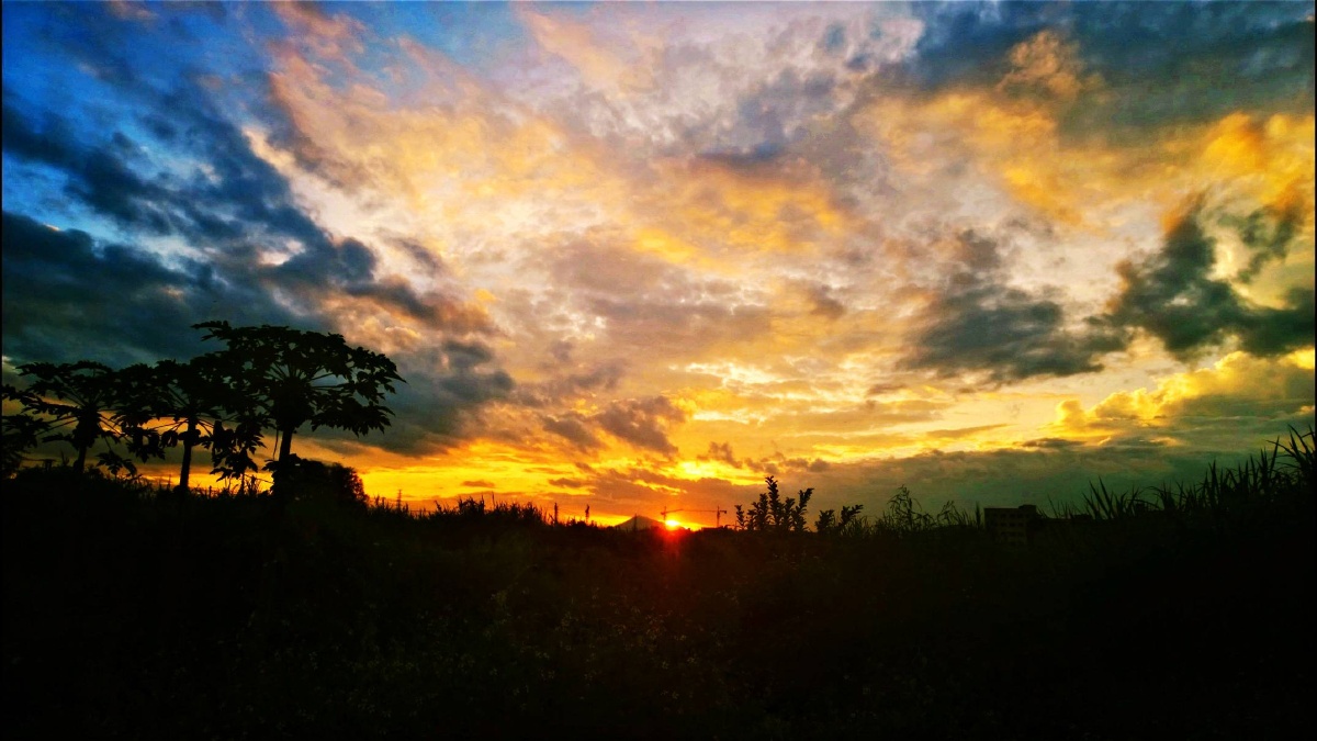 朝霞飞 - 风光 - 笑看风云变 - 图虫摄影网