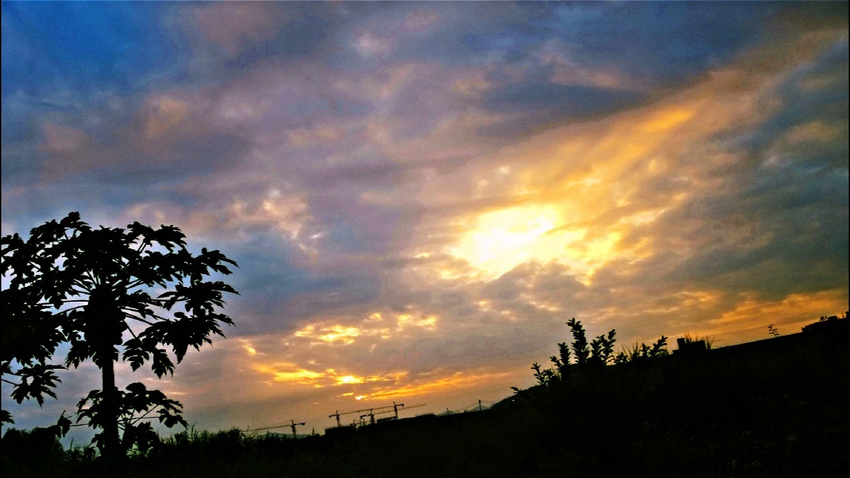 手机摄影 - 笑看风云变 - 图虫摄影网