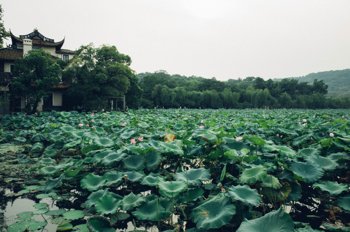 暖风熏得游人醉 - 杭州, 风光, 色彩 - 宋超在浪漫