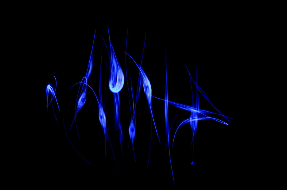 纺锤-+oldmes+-+图虫摄影网