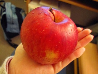 苹果加什么煮水功效更好 2248950.jpg