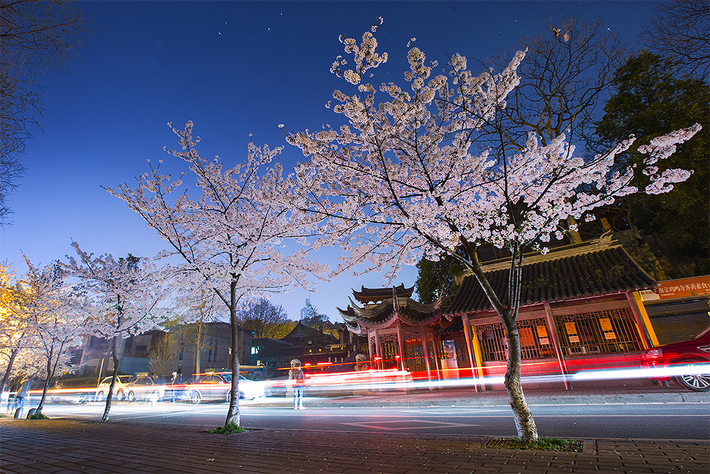 IMG_4155为智能对象-1XXX - 董小强 - 图虫摄