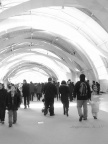 20120303