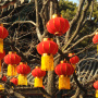 南岛回忆.
