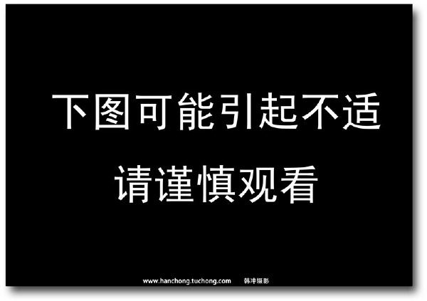 我可是提醒了的。