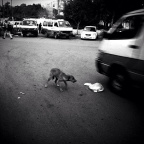 p_large_gj6L_4dac0000d389121c
