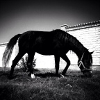 p_large_lly7_2d78000167c91212