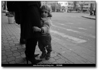 HAN_21350