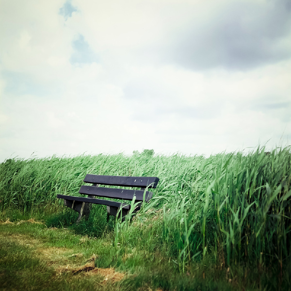 corl的分享 - corl - 图虫摄影网