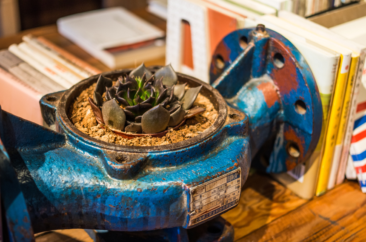 国际艺术中心 - 小清新, 武汉, 宾得, 静物, 小品