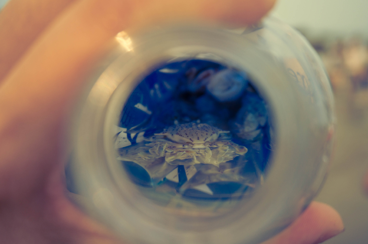 福建平潭岛天气不是很好的两天游 - 小清新, 50