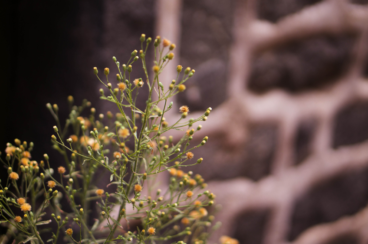 福建平潭岛天气不是很好的两天游 - 小清新, 50