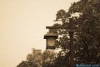 201104_North_Summit_08
