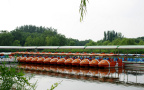 Photo_201103_Spring_Campus_06