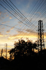 DSC00889_pro