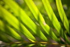 DSC00177-950