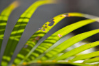 DSC00179-950