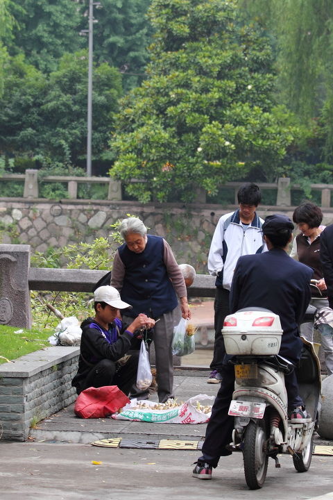 小孩卖菜