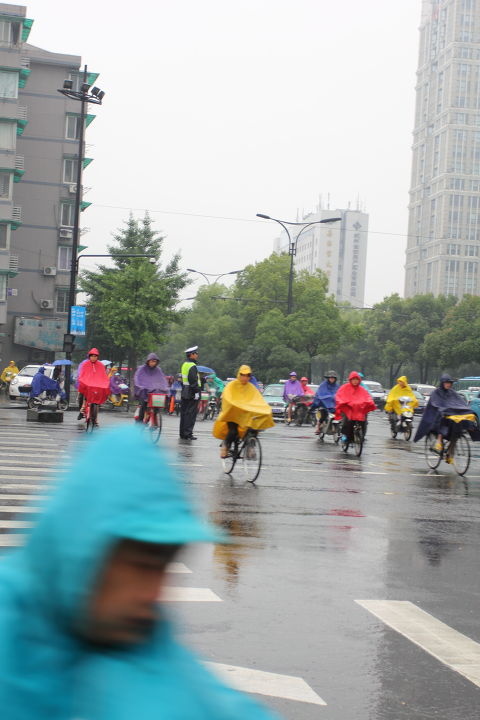 屹立风雨中