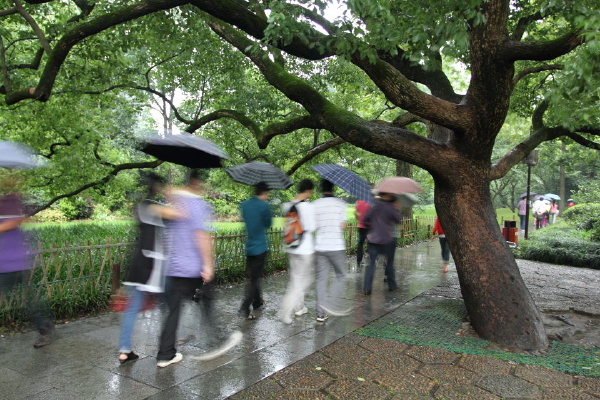 一批又一批