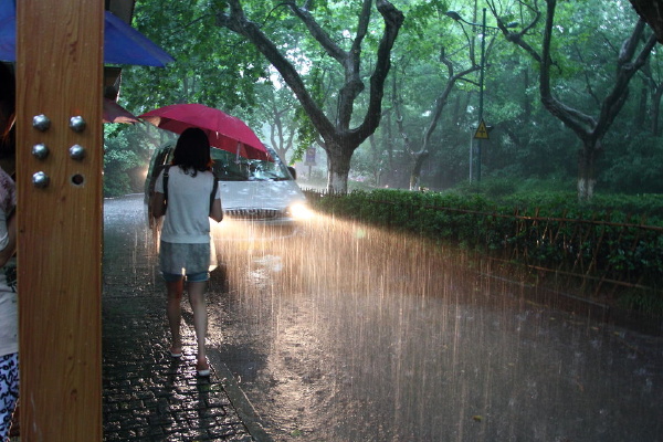 雨中候车