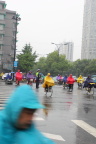 屹立风雨中