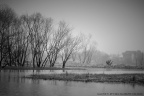 雨中西溪