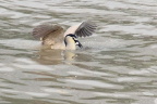 20110425_004