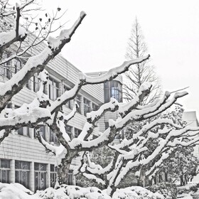 浙师大的雪景