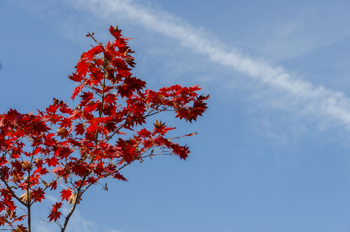 BWL_0218 - 石游 - 图虫摄影网