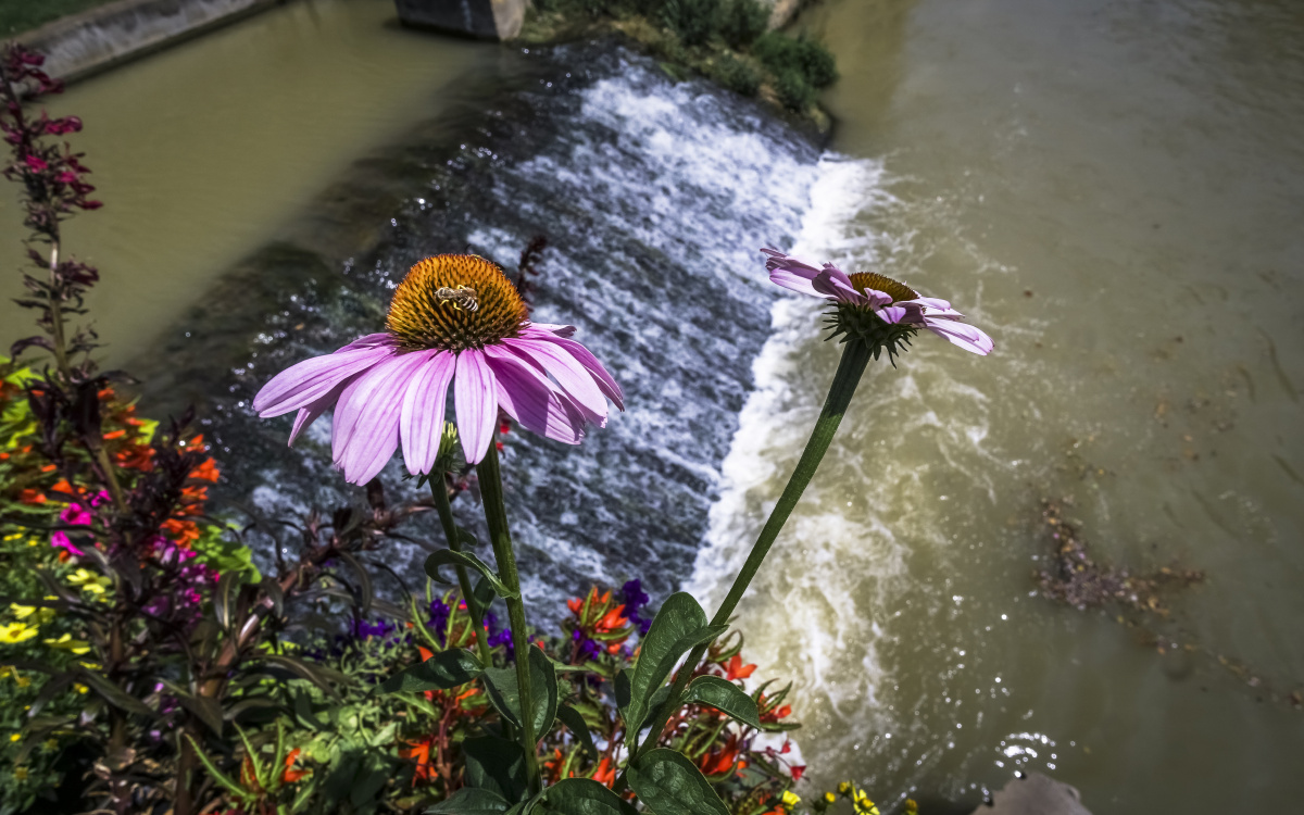 BWL_7030 - 石游 - 图虫摄影网