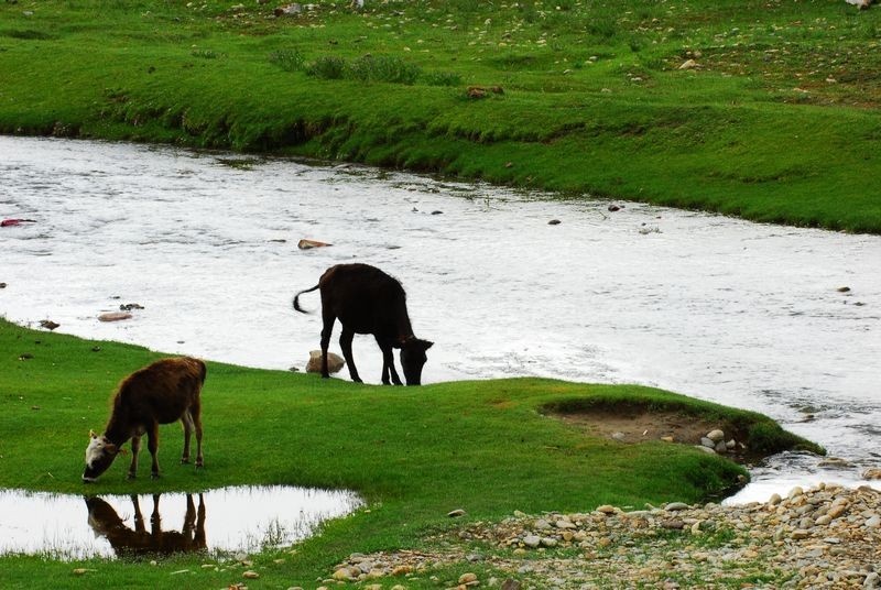 静静的牧场03 - 西藏风光 - 我的西藏 - 恒然