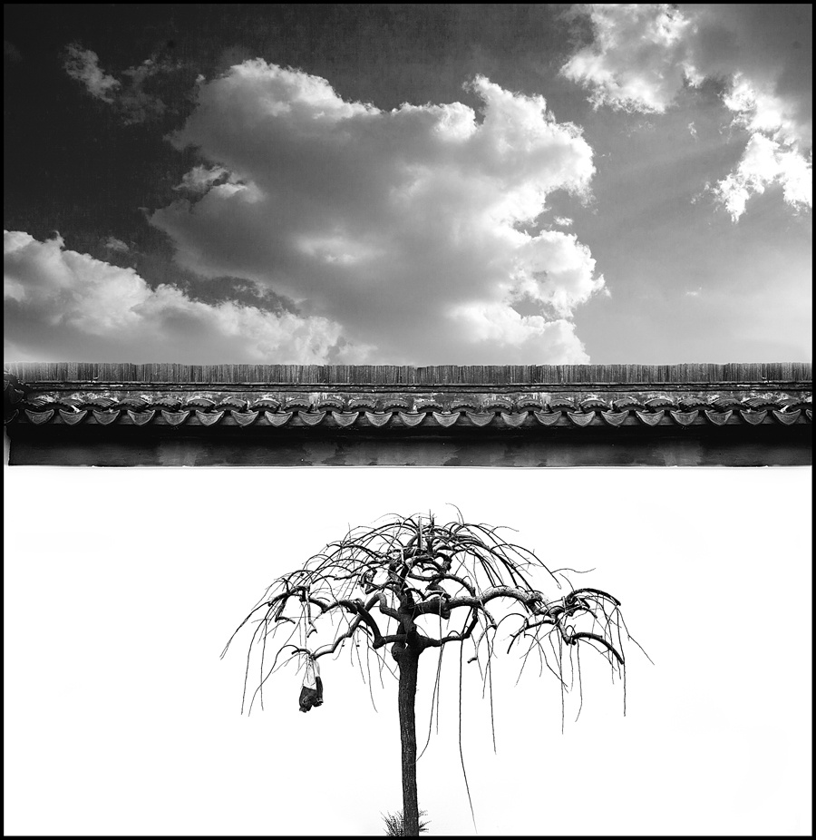 墙里墙外 - 毛病不少 - 图虫热点