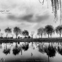 兔影斑驳2011