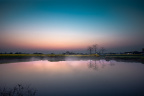 _MG_7906-ys