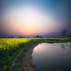 _MG_7892-ys