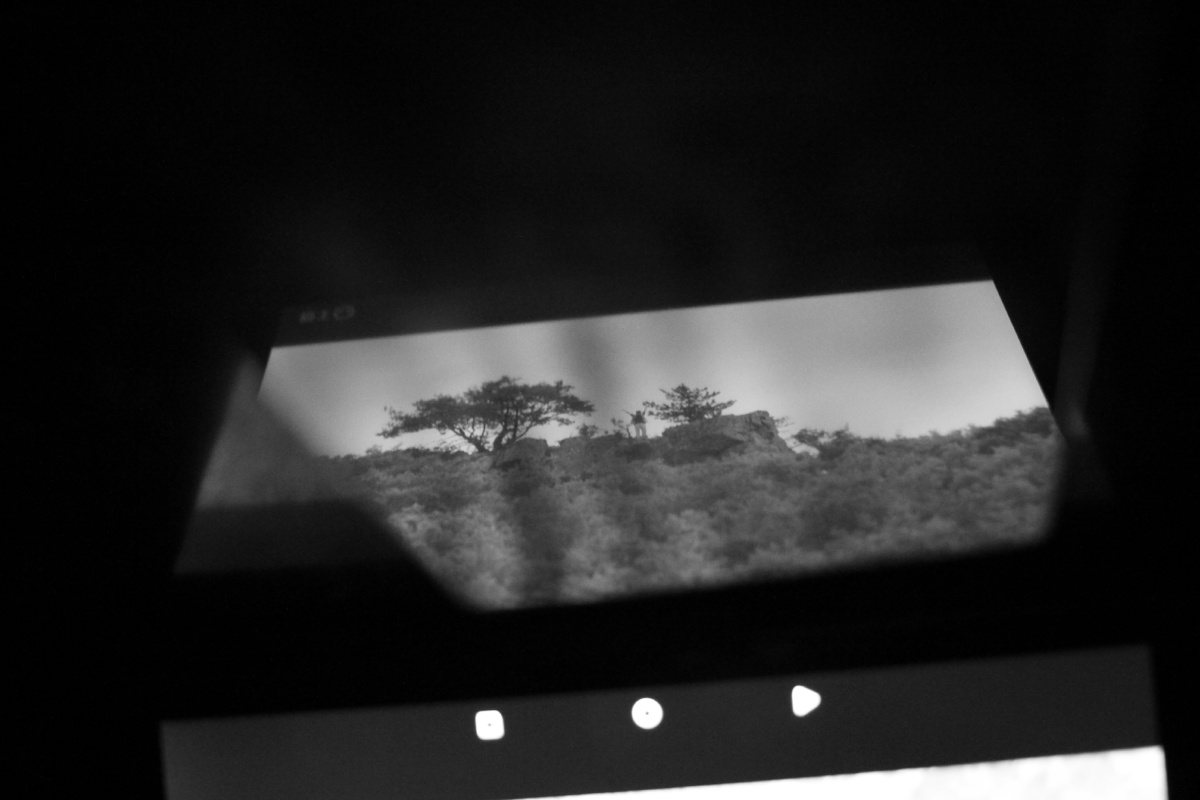 我的野蛮女友 - 我的野蛮女友, 黑白, 人像, 佳能