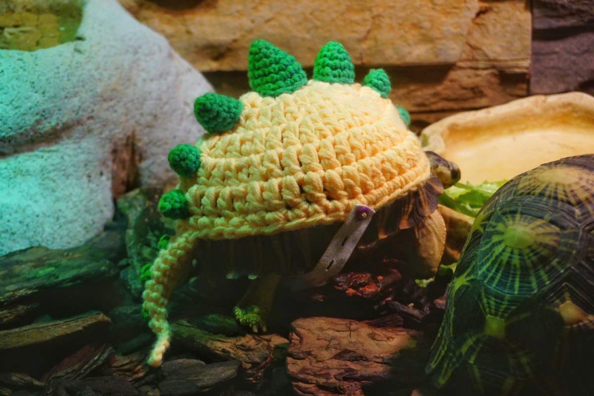 陶醉-+人文,+一步一世界