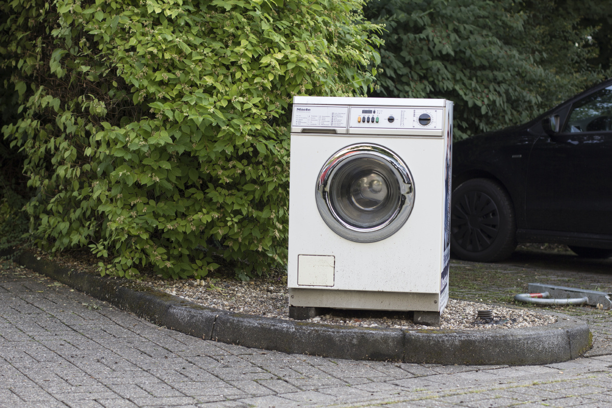 关门放狗 - 人文, 大连, f1.8 - 你好我叫不高兴 - 图虫摄影网