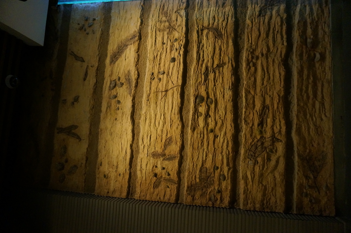 杭帮菜博物馆 - 广州, 佳能 - 快乐的铃声