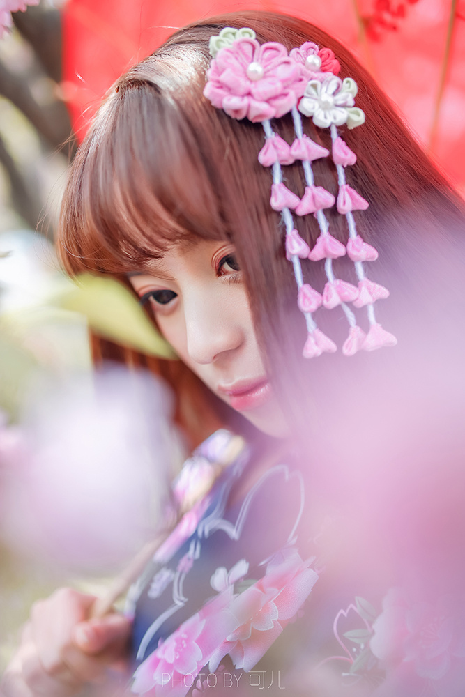 落樱沁阳 - 日系, 和服, 可儿, 唯美 - 可儿大湿 - 图