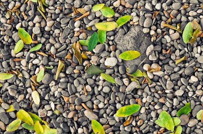 落英缤纷是什么意思_落英缤纷是什么季节_落