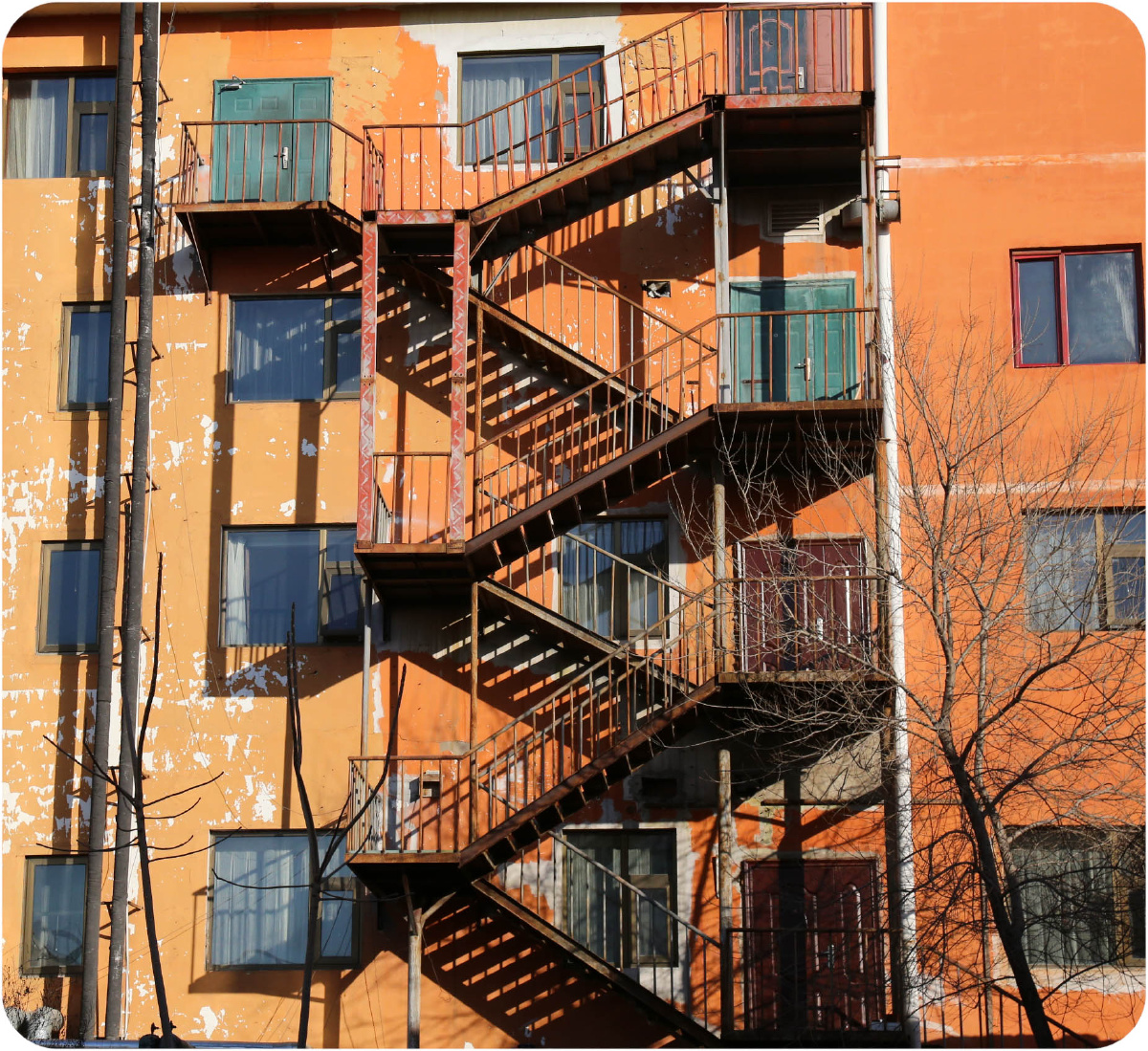 朝内81号 - 黑白 - 敢没有昵称么