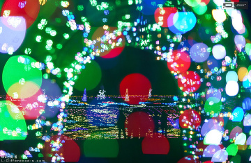 国立昭和纪念公园LightUp