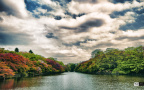 HDR井の頭公園