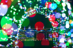 国立昭和纪念公园LightUp