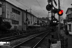 JapaneseRed＿譚源